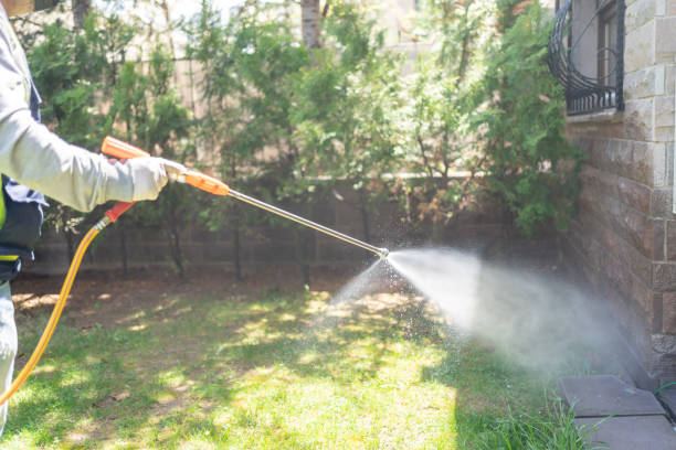 Best Local Pest Control Services  in North Judson, IN